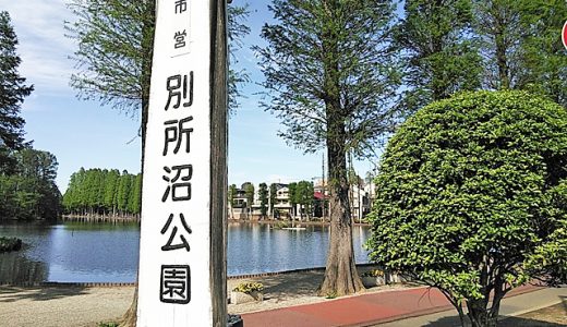 別所沼公園へのアクセス！最寄駅や電車・バス・車での行き方情報
