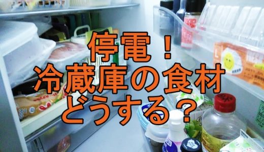 停電！冷蔵庫の食料は食べられる？野菜や肉、乳製品どこまで大丈夫？