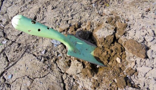 土用期間【神社参拝、旅行、引っ越し、土いじり】は平気？