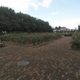 与野公園アクセス