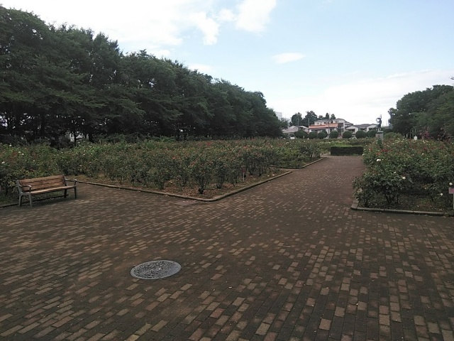 与野公園アクセス