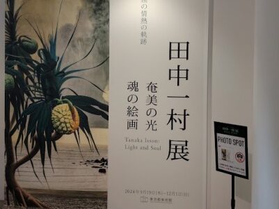 田中一村展のレビュー！混雑状況からチケット・グッズなど