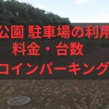 与野公園 駐車場の利用時間・料金・混雑状況まとめ！土日やイベント時は？
