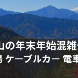 高尾山の年末年始混雑予想|駐車場・ケーブルカーから電車情報まで